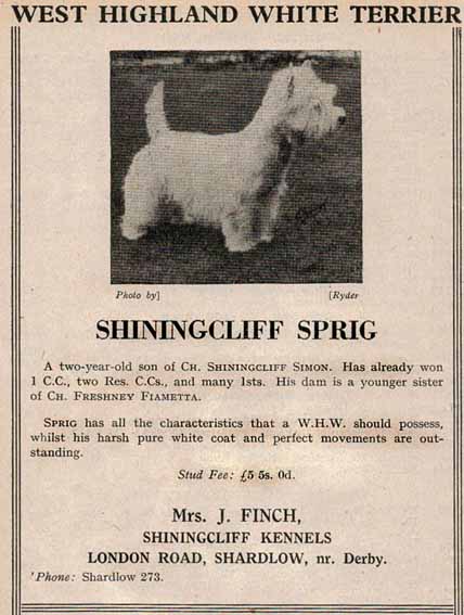 Crufts1950Web