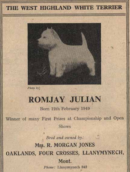 Crufts 1952web