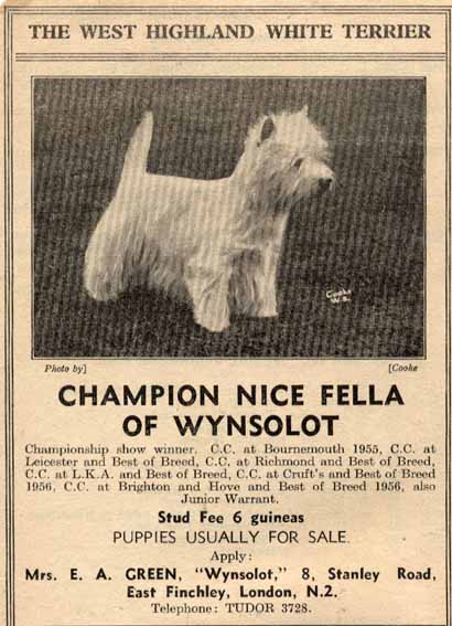 Crufts 1956web