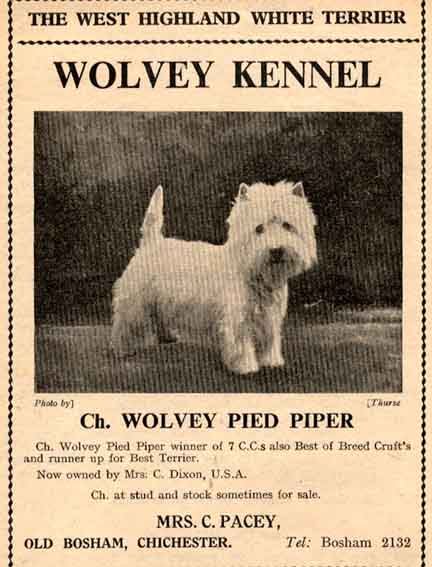 Crufts 1957web