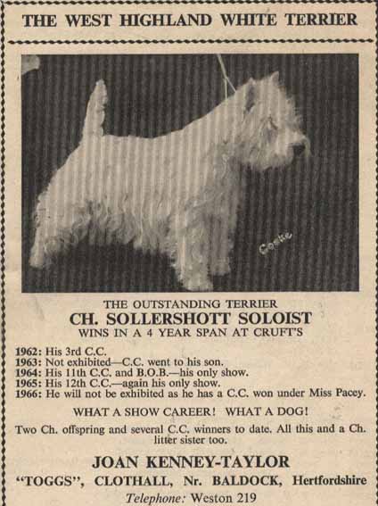 Crufts 1959web1