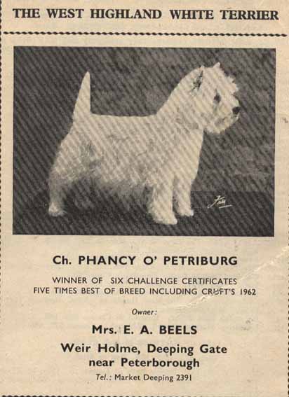 Crufts 1962web