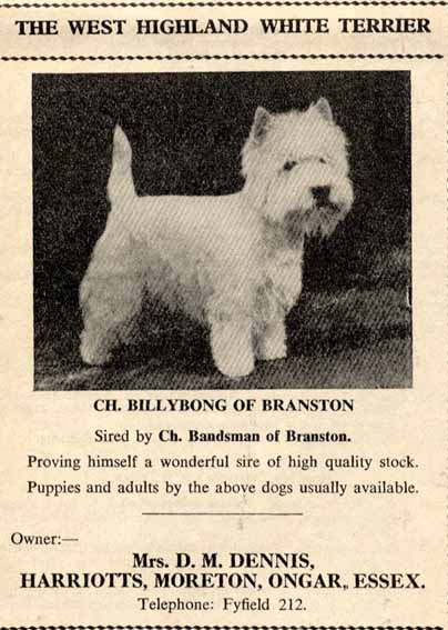 Crufts 1963web