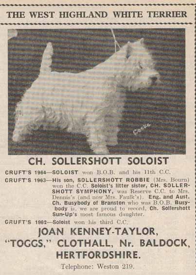 Crufts catalogue 1965web