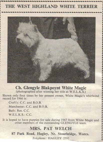 Crufts catalogue 1967web