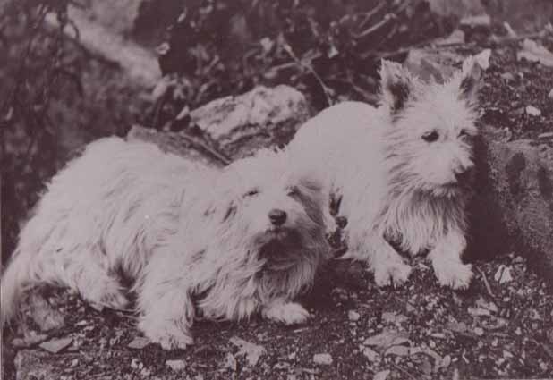 Early Poltalloch pair c1900web