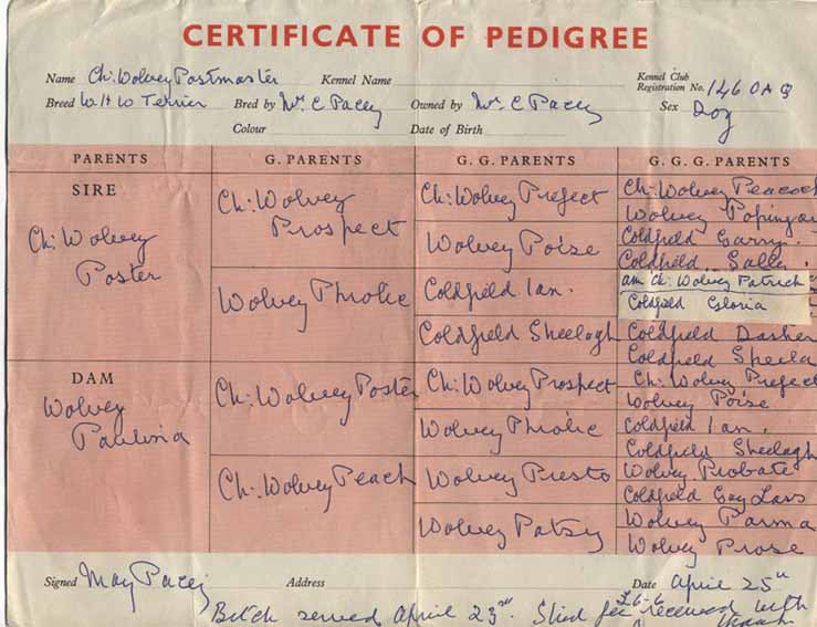 PedigreeWolvey PostmasterWeb