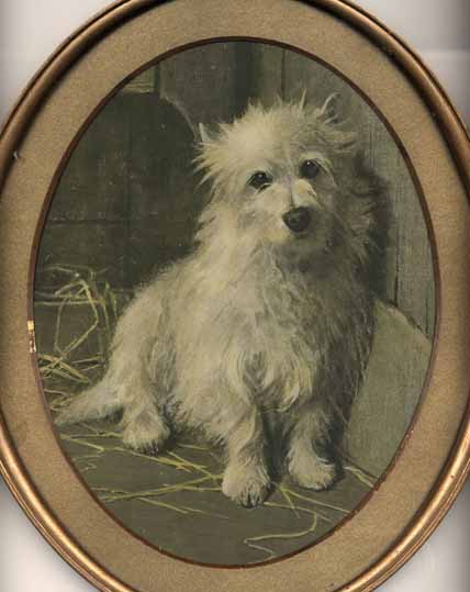 Westie Printweb