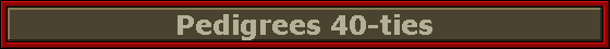 Pedigrees 40-ties