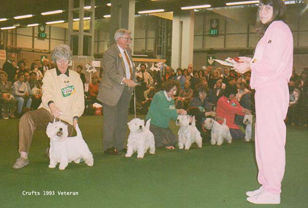 Ashgate Kirkcowan of Poolmist 2nd Vet class Crufts 1993 copy