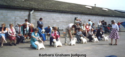 Barbara+Graham+judging+Dog+Challenge