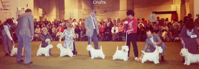 CruftsLIneUp