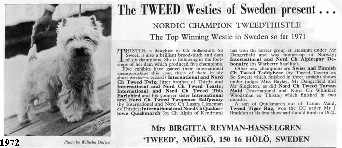 DW72SwedenTweedWeb