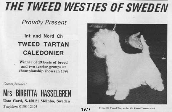 DW77SwedenTweedWeb