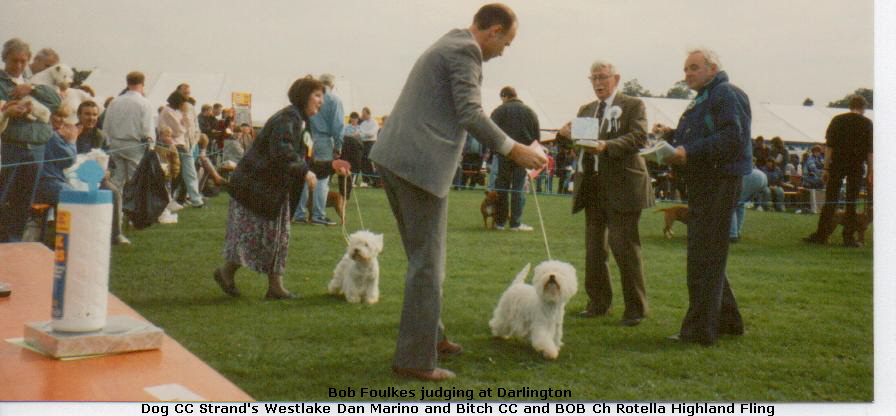 Darlington 1993 BOB Ch H Highland Fling of R & Ch Wlake D Marino