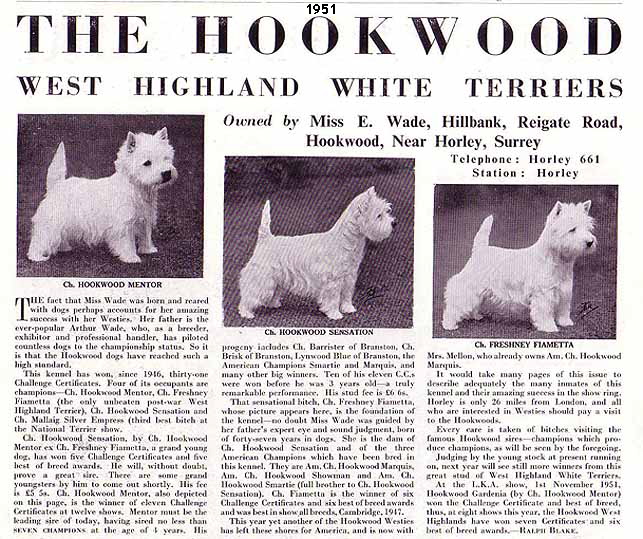 Hookwood 1951Web