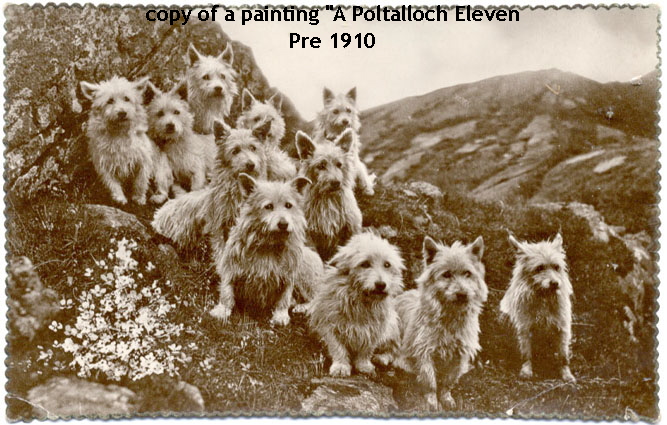 Postcard 1932web