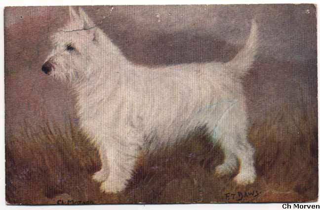 Postcard of Ch MorvenWeb